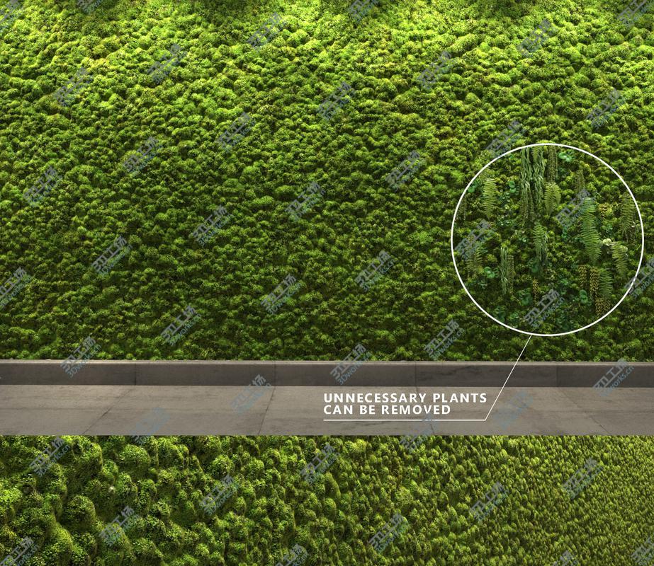 images/goods_img/20210319/Seamless Moss Wall 3D model/2.jpg